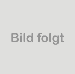 Original VW Audi Kraftstoffpumpe Dieselpumpe 2.0 TDI Förderpumpe 03G145209D